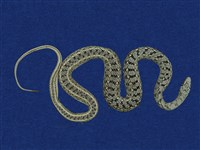 藏品(花浪蛇)的圖片